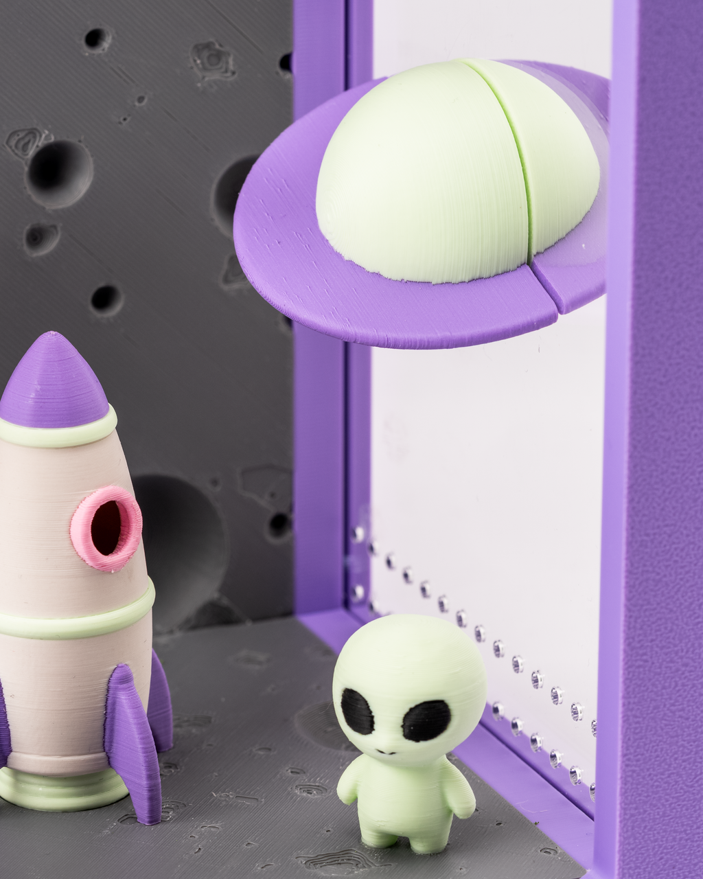 Springspinnen-Terrarium Luna – komplett eingerichtet