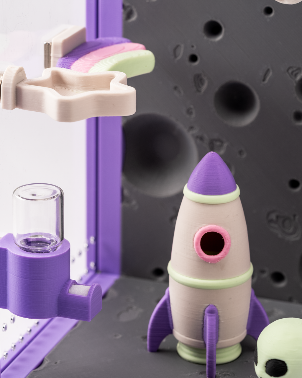 Springspinnen-Terrarium Luna – komplett eingerichtet