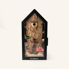 Jumping spider terrarium Forest Magic – fully furnished
