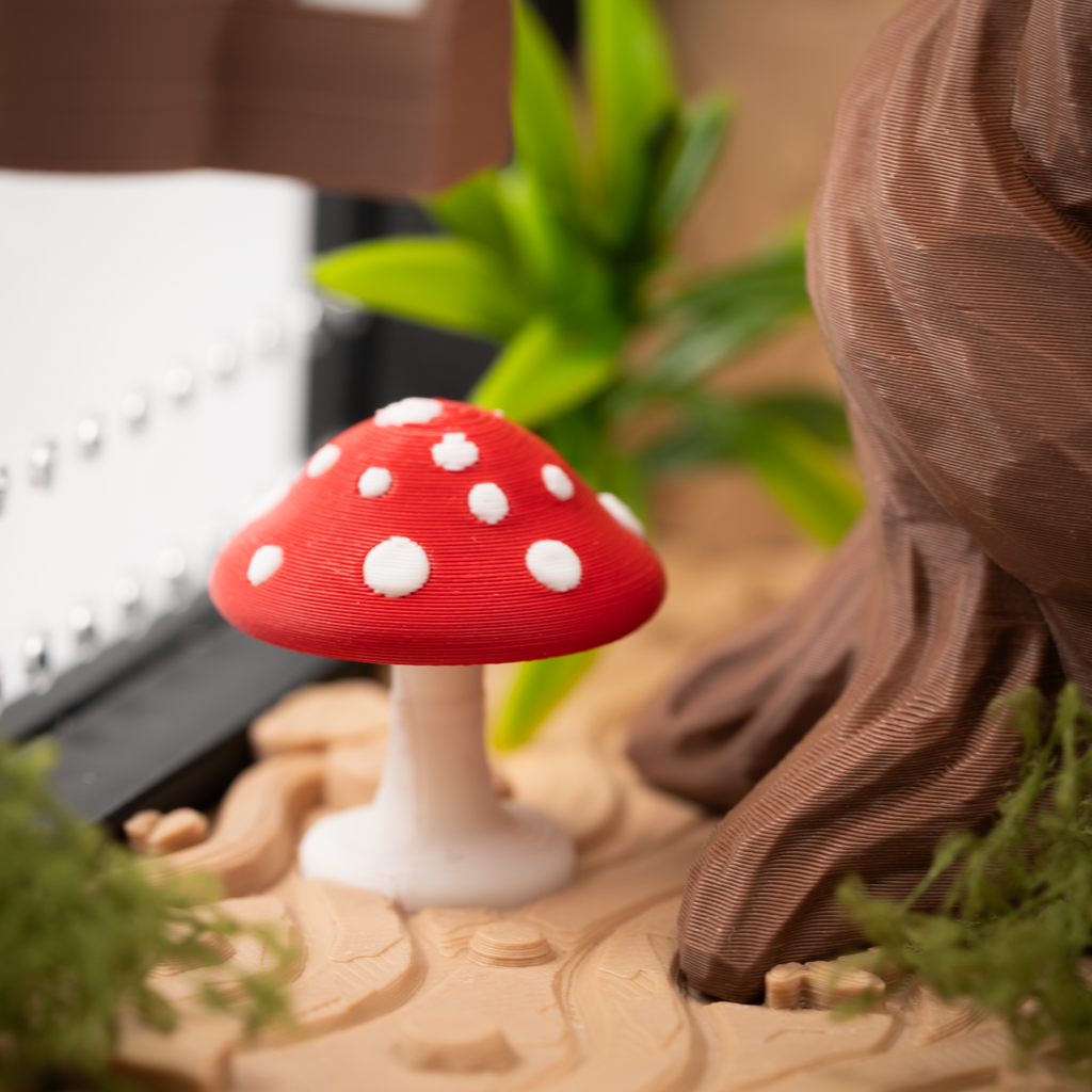 Jumping spider terrarium Forest Magic – fully furnished