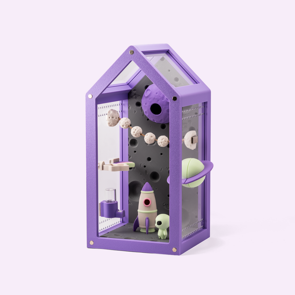 Springspinnen-Terrarium Luna – komplett eingerichtet